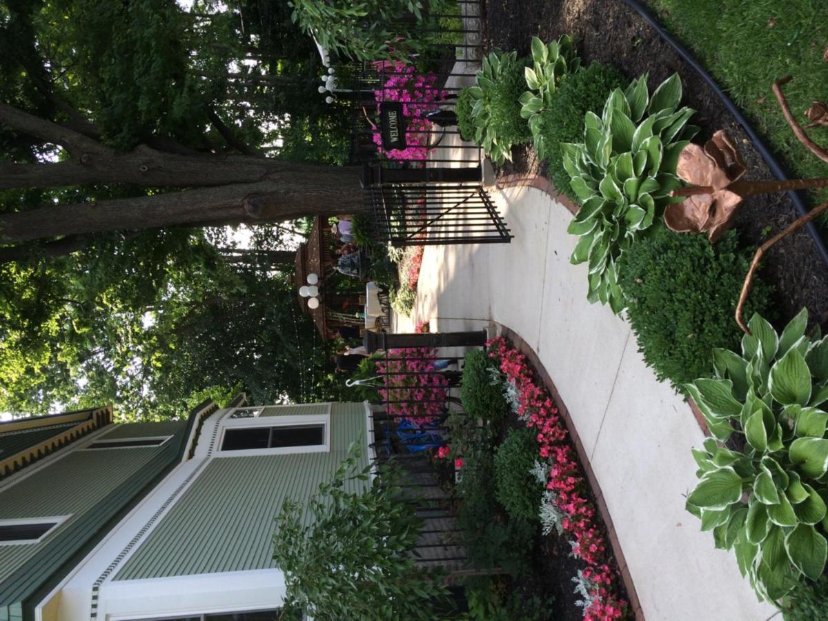 The Ginkgo Tree Bed and Breakfast Mount Pleasant Exteriör bild