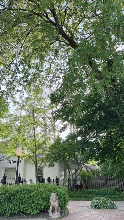 The Ginkgo Tree Bed and Breakfast Mount Pleasant Exteriör bild
