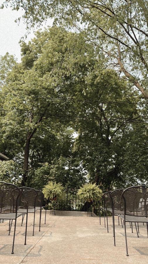 The Ginkgo Tree Bed and Breakfast Mount Pleasant Exteriör bild