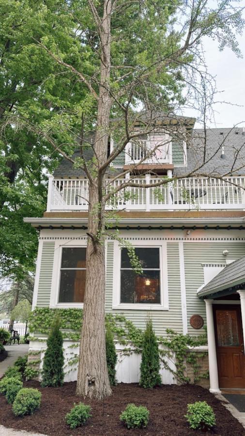 The Ginkgo Tree Bed and Breakfast Mount Pleasant Exteriör bild