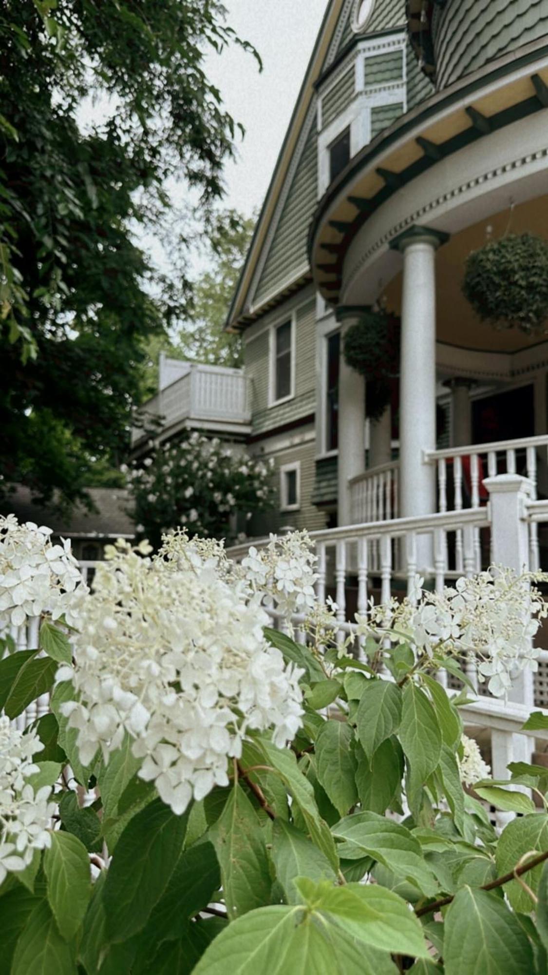 The Ginkgo Tree Bed and Breakfast Mount Pleasant Exteriör bild